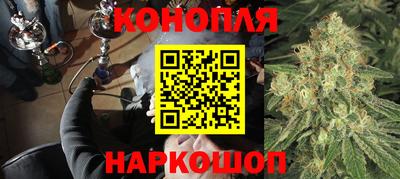 гидра Кандалакша