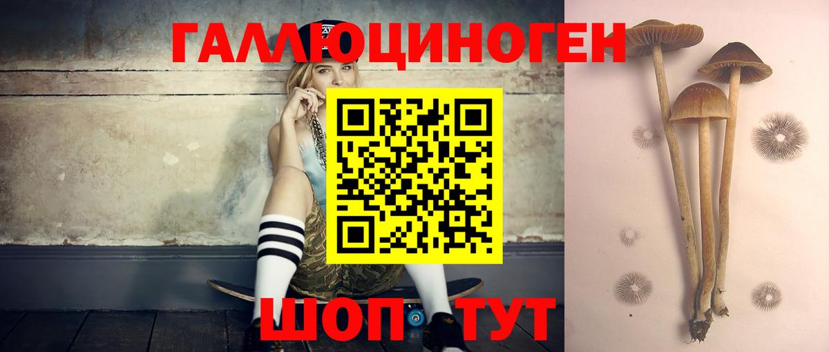 Галлюциногенные грибы Cubensis  Вход с VPN  продажа наркотиков  Краснознаменск 
