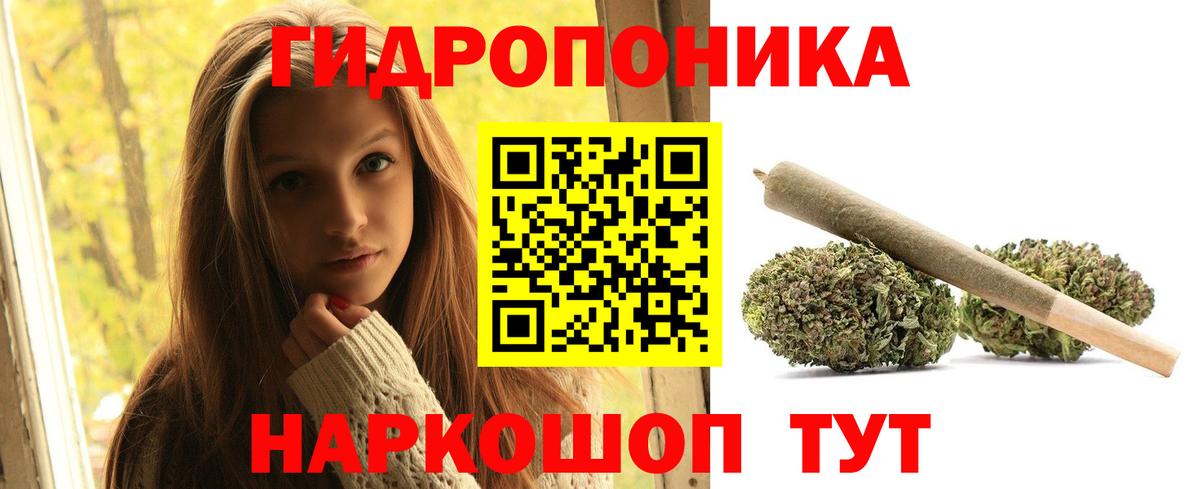 Канабис MAZAR  Бошки Шишки White Widow  Краснознаменск  Бошки марихуана семена  Вход с VPN 